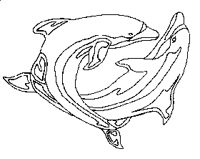 DOLPHIN2.PCX