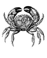 CRAB2.PCX