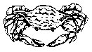 CRAB.PCX