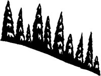 TREE23.PCX