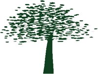 TREE10.PCX