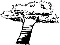TREE01M.PCX