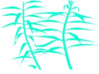 LEAF10.PCX
