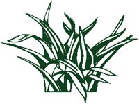 LEAF09.PCX