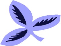 LEAF07.PCX