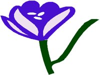 FLOWER19.PCX