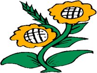 FLOWER11.PCX