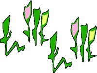 FLOWER09.PCX