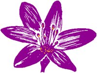 FLOWER04.PCX