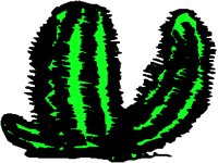 CACTUS13.PCX