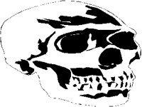 SKULL01M.PCX