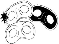 MASKS.PCX