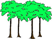 FOREST03.PCX