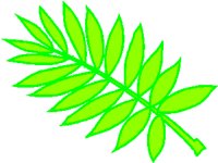 PLANT5.PCX