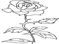 ROSE.PCX