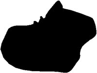 SHOE06M.PCX