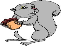 SQUIRRE_.PCX