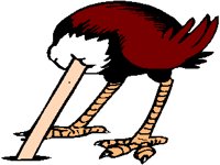 OSTRICH_.PCX