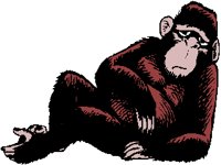 MONKEYD_.PCX