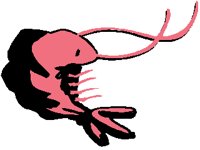 SHRIMP2.PCX