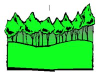 TREE02.PCX