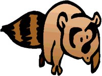 RACCOON.PCX