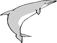 DOLPHN03.PCX