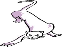 CAT02.PCX