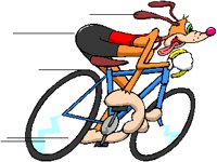 BICYCLE.PCX