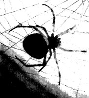 SPIDERWB.PCX