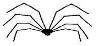 SPIDER1.PCX