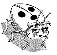 LADYBUG.PCX