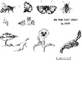 BUGS91.PCX