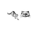 CAT77.PCX