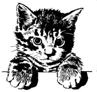 CAT72.PCX