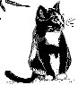 CAT69.PCX