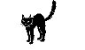 CAT56.PCX