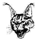 CAT28.PCX