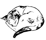 CAT22.PCX
