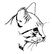 CAT21.PCX