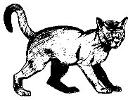 CAT13.PCX