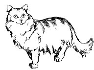 CAT11.PCX