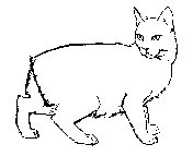 CAT09.PCX