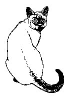 CAT06.PCX