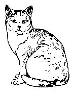 CAT03.PCX