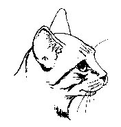 CAT01.PCX
