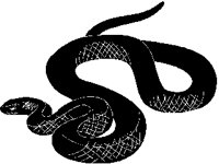SNAKE.PCX