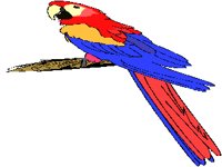 PARROT.PCX