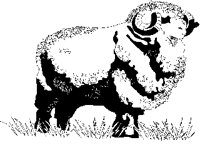 MERINO.PCX
