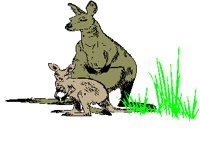KANGAROC.PCX